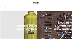 Desktop Screenshot of malestandard.com